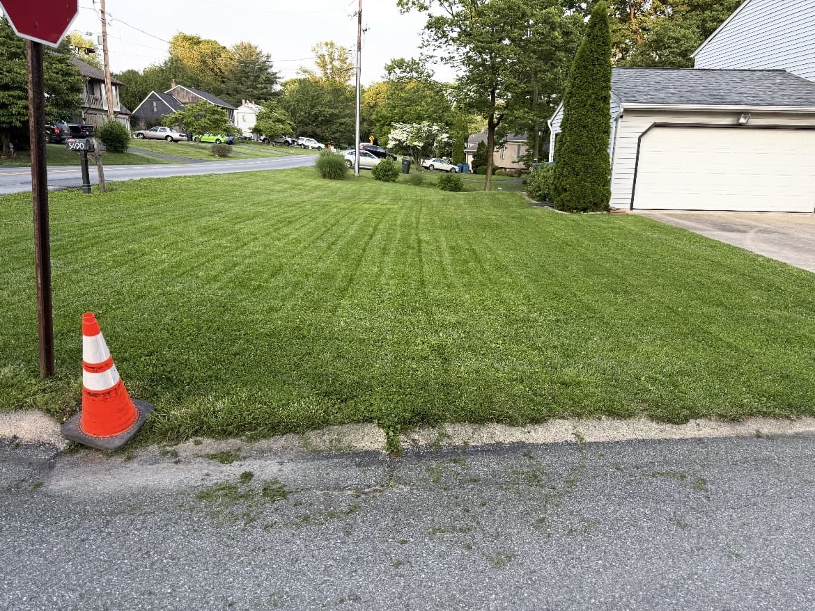 Mowed front lawn beside a driveway and sidewalk; business gallery photo, location unspecified