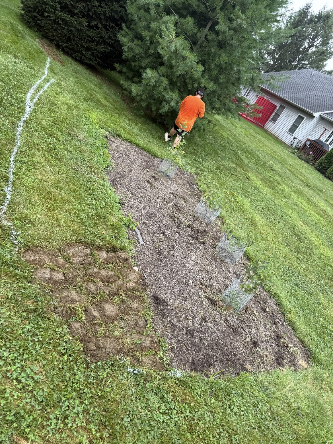 Garden bed work beside a green lawn and trees; business gallery photo, location unspecified