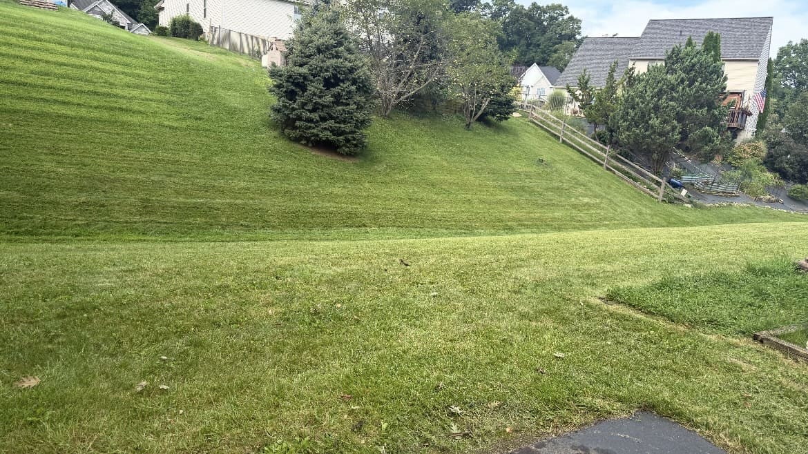 Mowing lines across a sloping lawn with trees; business gallery photo, location unspecified
