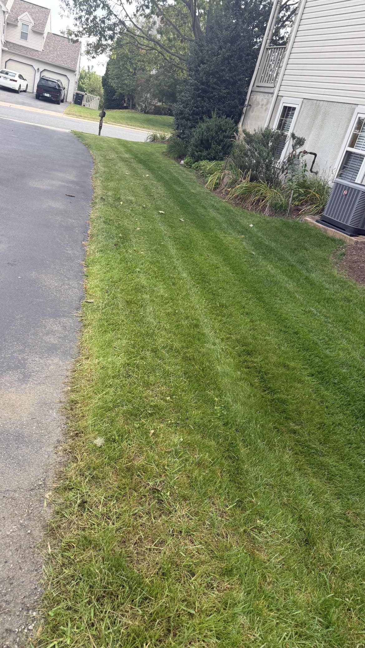 Long strip of mowed grass beside a residential building; business gallery photo, location unspecified