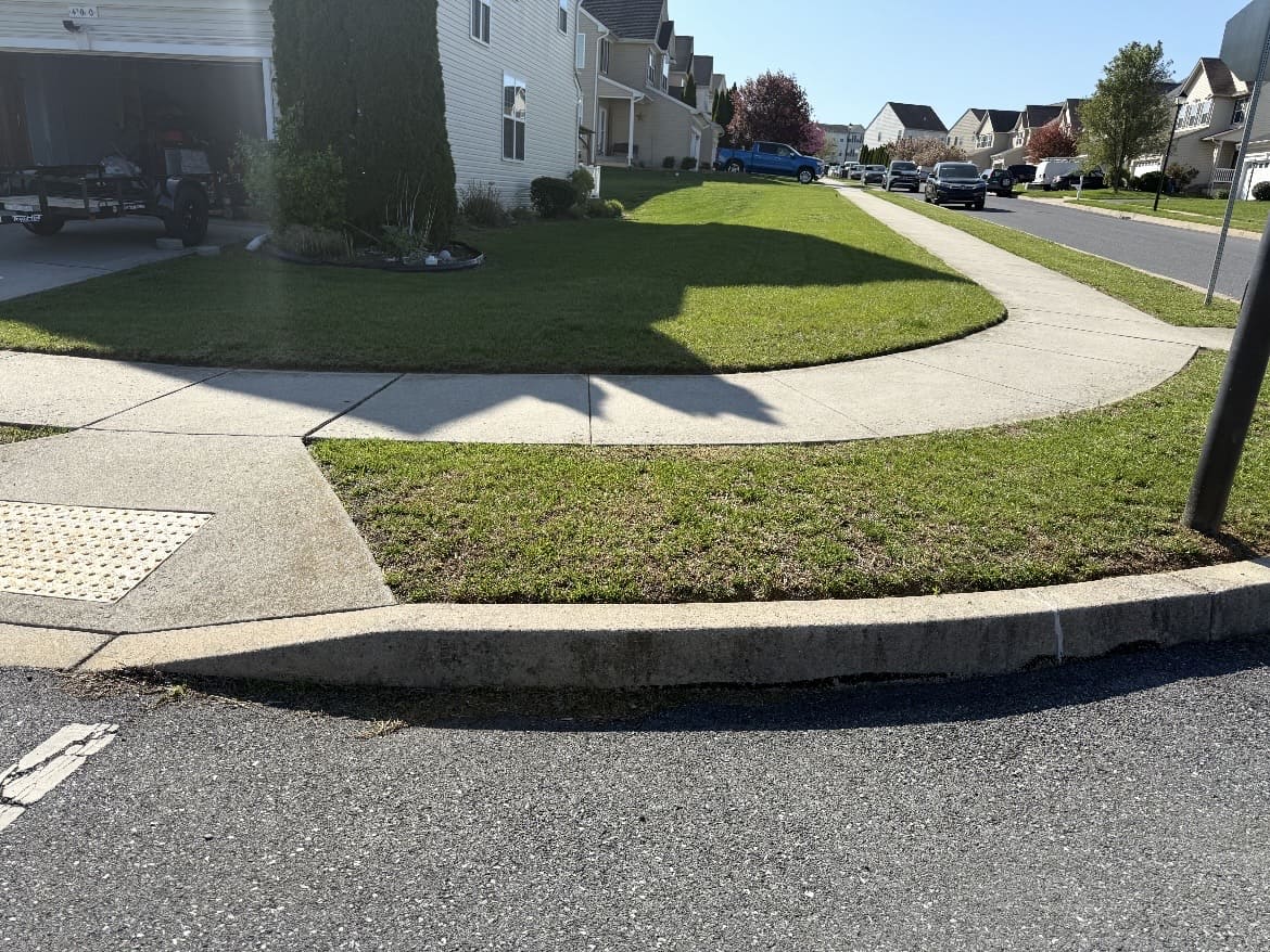 Defined lawn border along a curved sidewalk and curb; business gallery photo, location unspecified