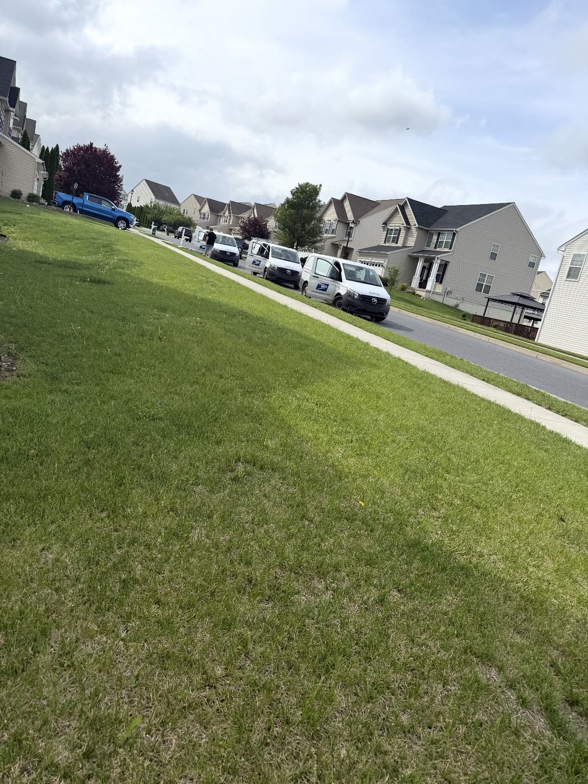 Front lawn beside a residential street; business gallery photo, location unspecified