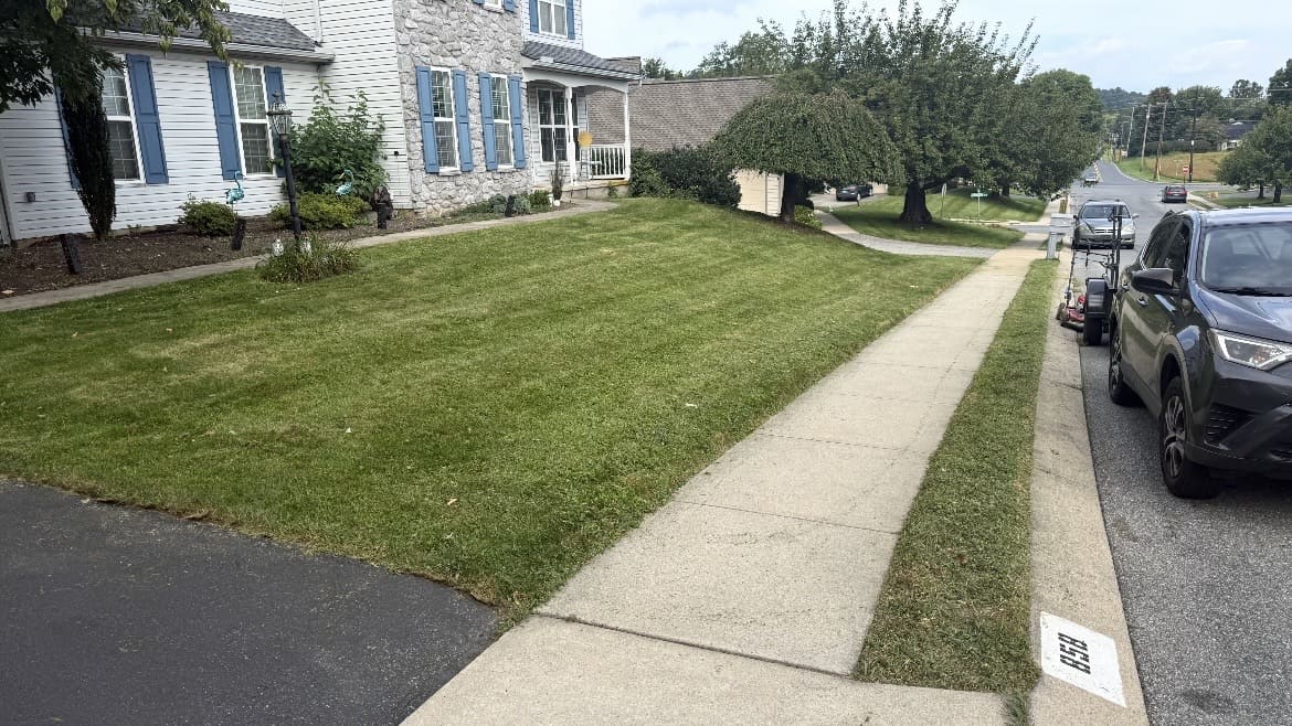 Neatly cut lawn between a house and sidewalk; business gallery photo, location unspecified