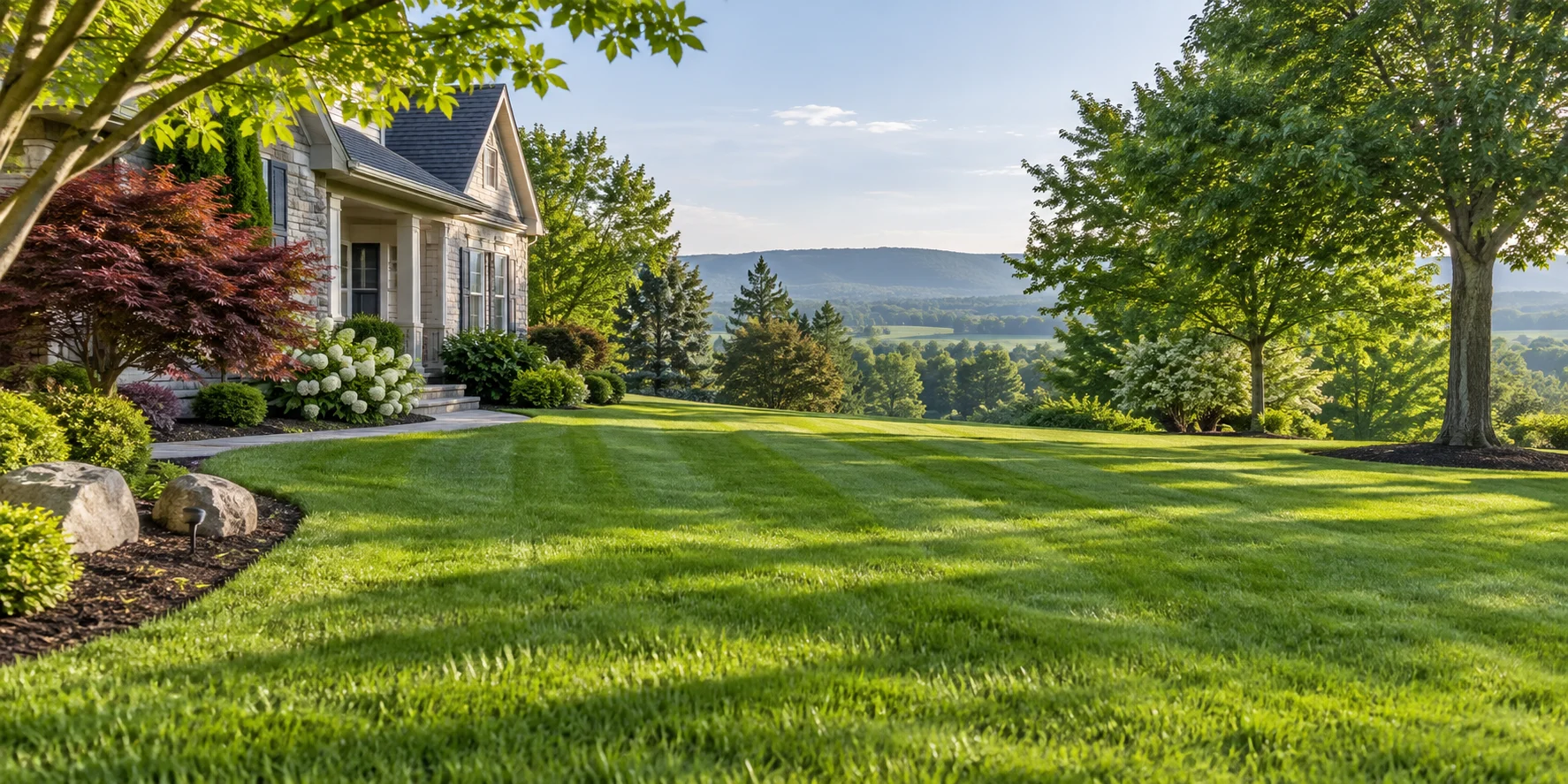 Illustrative image: maintained lawn with garden beds and clean edges